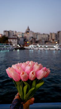 A bouquet of pink tulips held in front of a scenic urban waterfront at twilight.