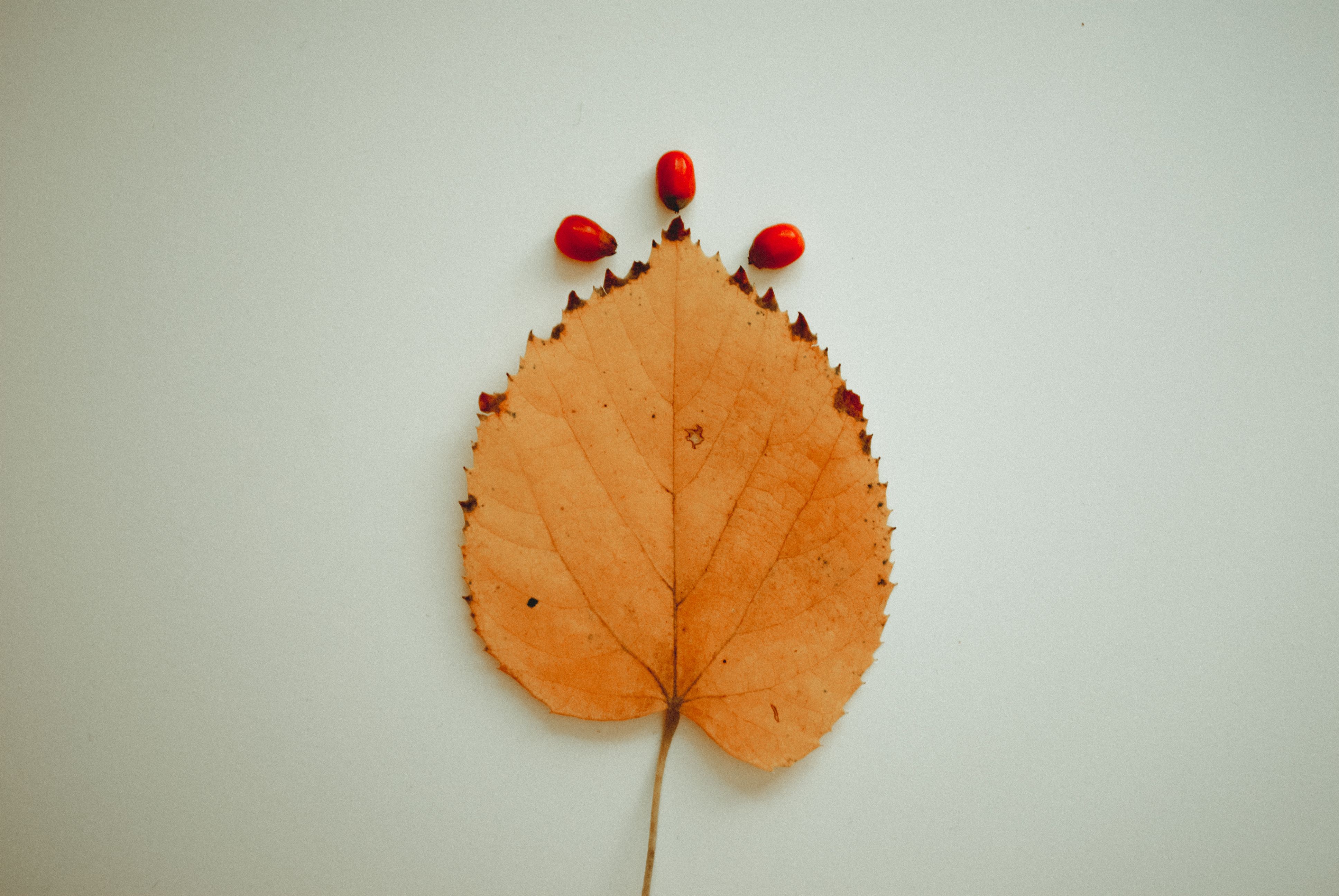 Red Translucent Die on Top of Black Surface · Free Stock Photo
