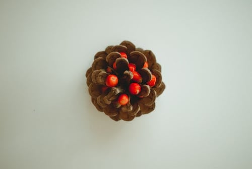 Pine Cone Decor