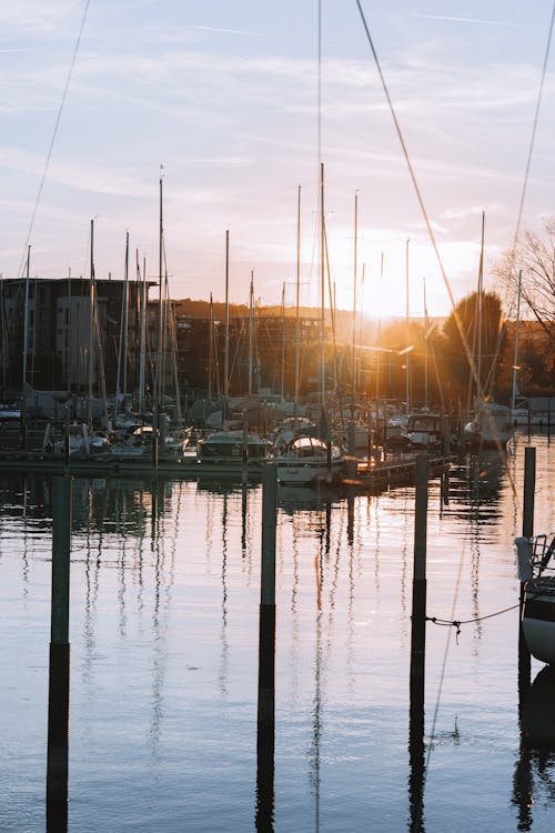 Foto profissional grátis de água, barcos, barcos a vela