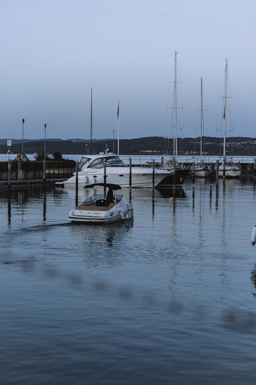 бесплатная Бесплатное стоковое фото с вертикальный выстрел, вода, гавань Стоковое фото