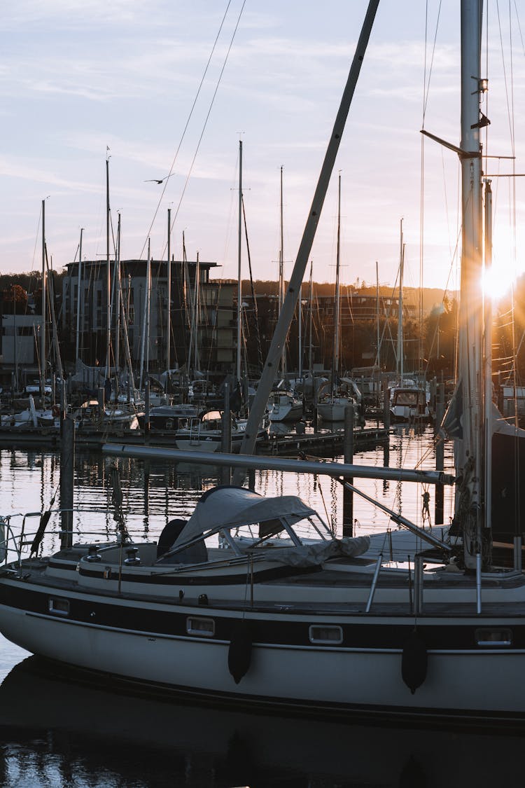 Boats In A Harbor 