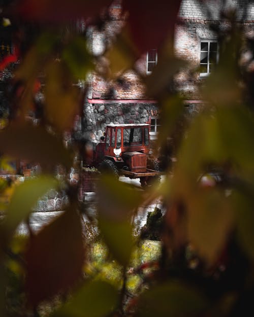 Kostenloses Stock Foto zu blätter, grün, herbst