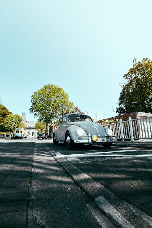 Безкоштовне стокове фото на тему «raodside, volkswagen, Volkswagen Beetle»