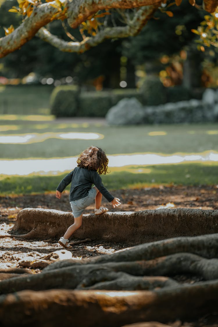 Child Climbing Tree In Park