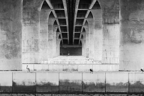 列, 橋, 橋樑 的 免費圖庫相片