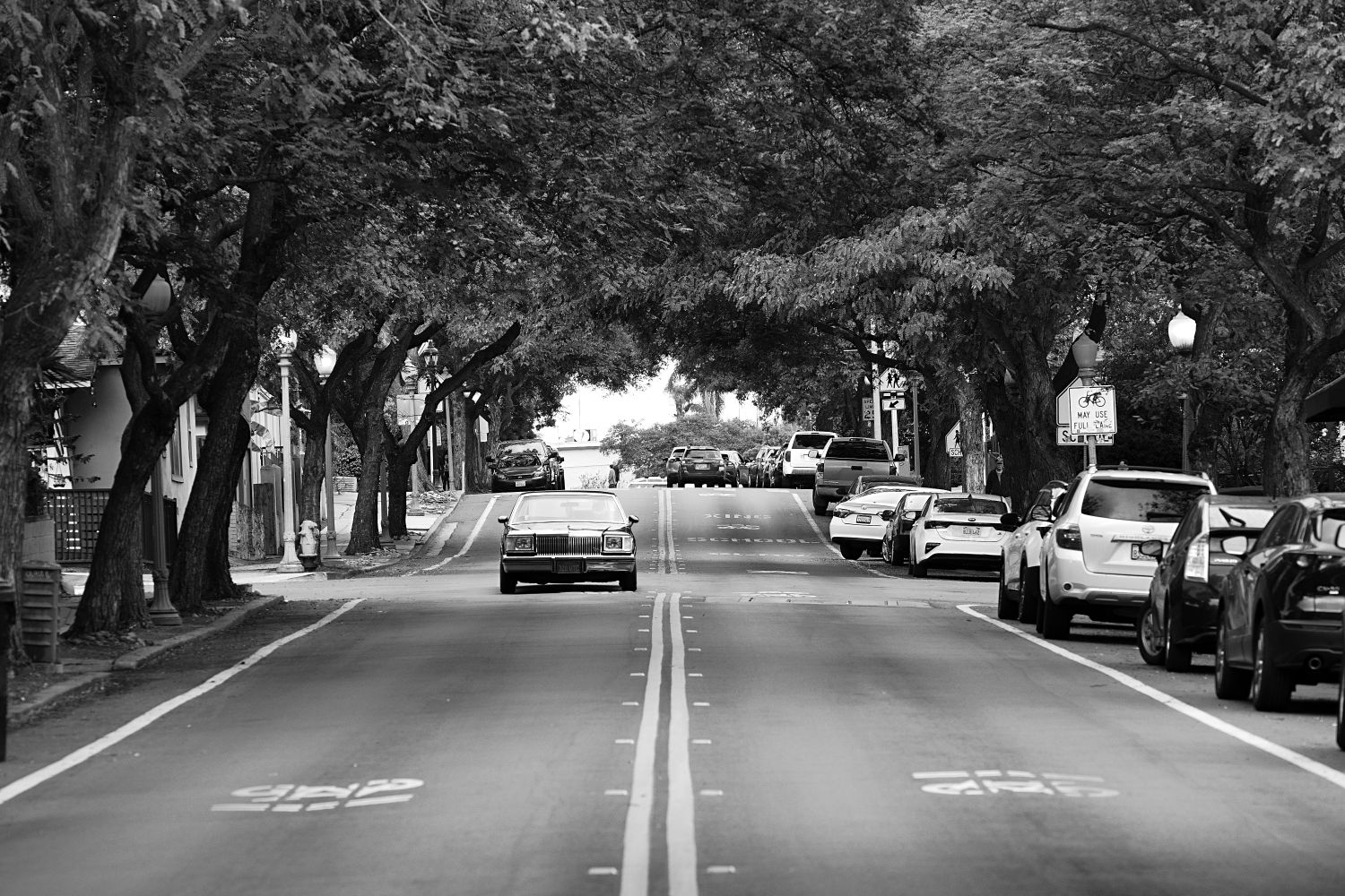 Lane Photos, Download The BEST Free Lane Stock Photos & HD Images