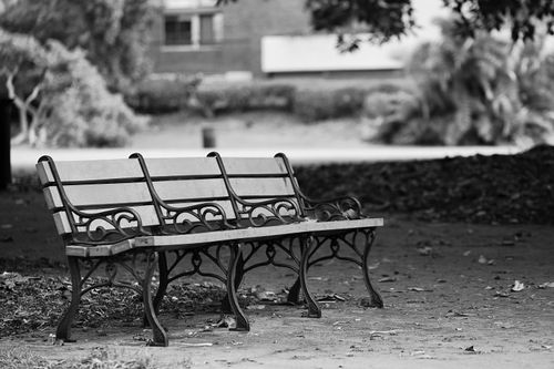 Free Quiet park setting with a classic metal bench in grayscale, conveying solitude. Stock Photo