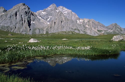 Scenic Mountain Range and a Meadow 