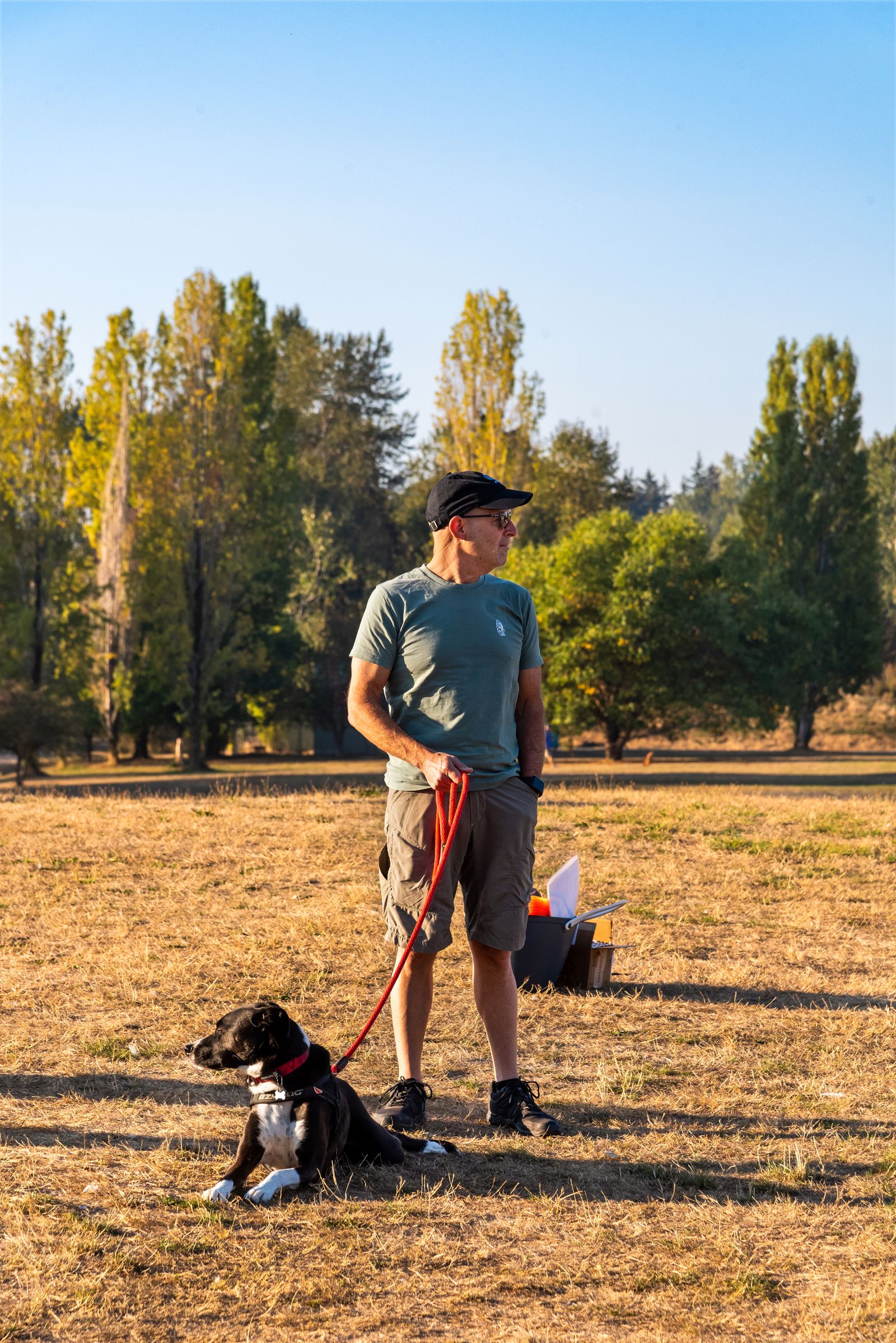 Pet parent spending time outdoors with dog in a park