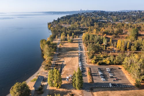 Fotos de stock gratuitas de arboles, coches, foto con dron