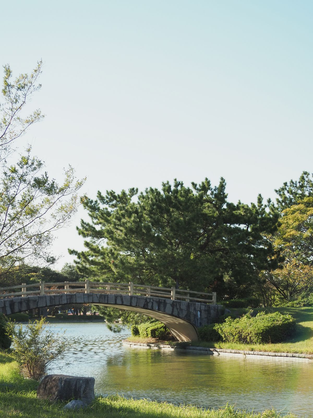 Graceful wooden arched bridge over a calm river surrounded by lush greenery in Japan