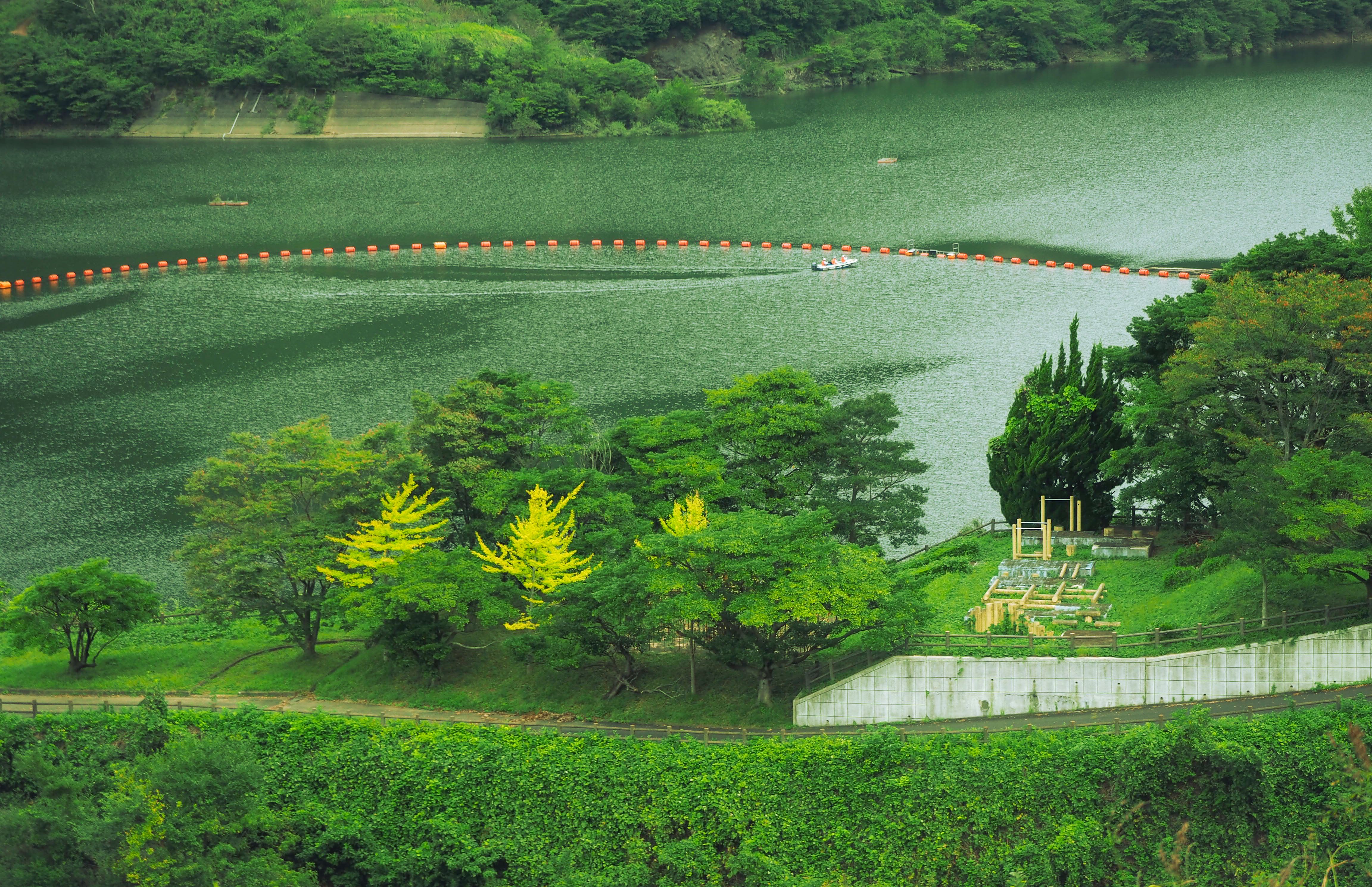 Aerial view of a tranquil river surrounded by vibrant green trees and a scenic riverbank.