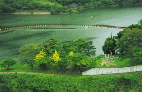 View of a River 