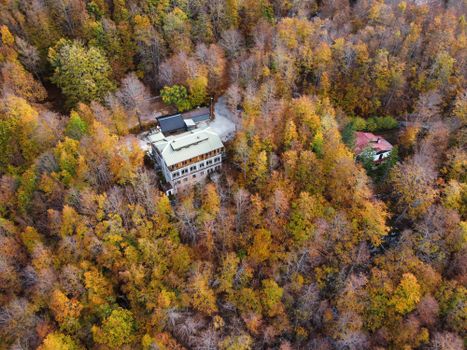 Aerial shot captures vibrant fall foliage surrounding houses in a dense forest.
