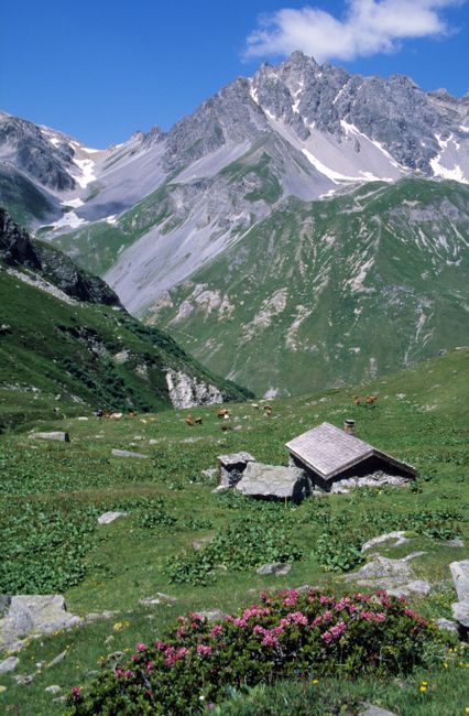 Charming alpine scene with a hut and lush greenery in Bourg-Saint-Maurice, France.