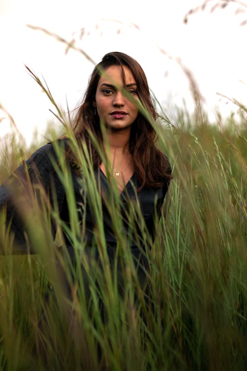 Kostnadsfri bild av gräsfält, högt gräs, kvinna