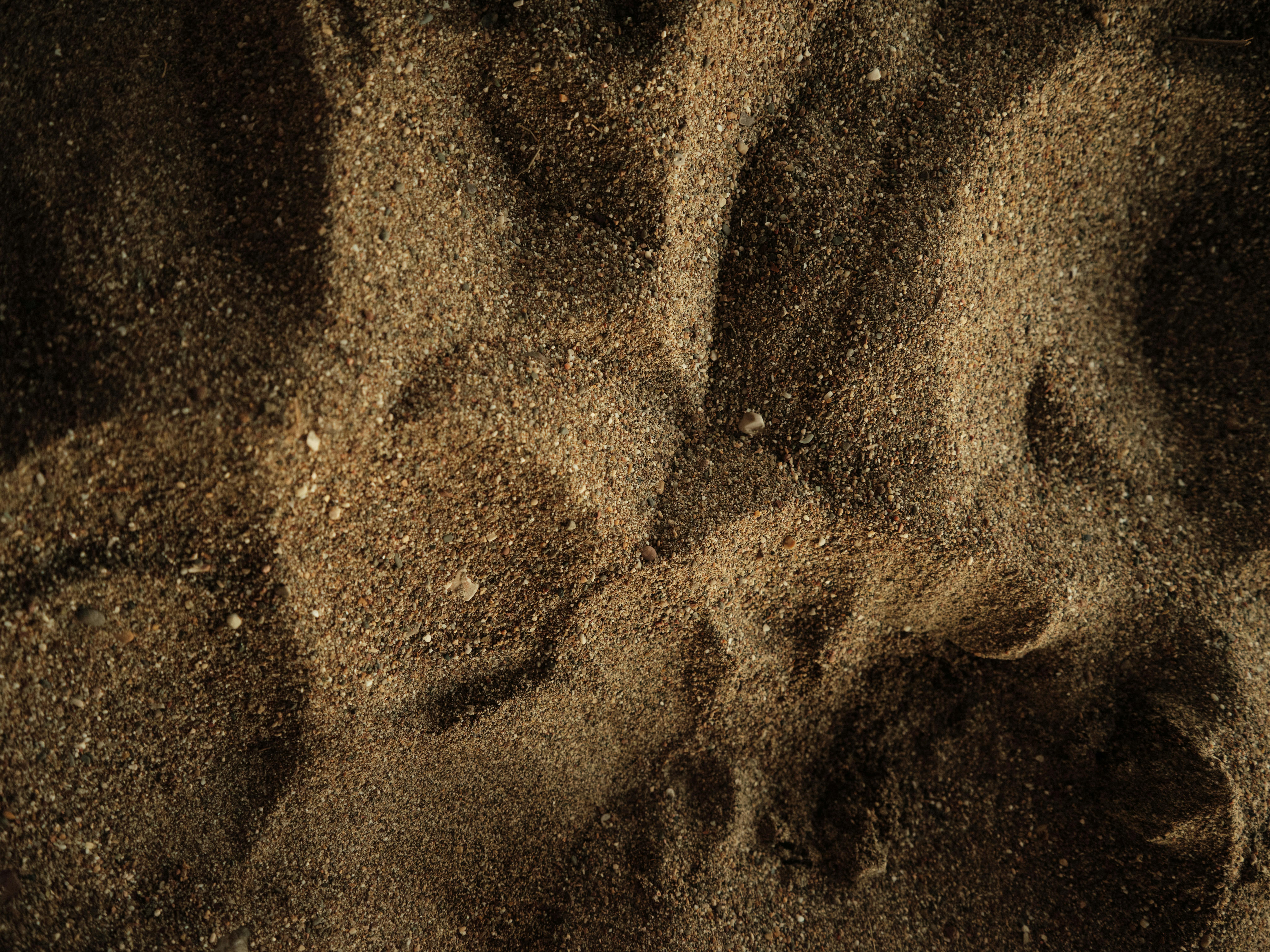 Beach Sand
