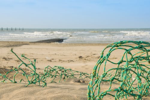 Photos gratuites de Belgique, brise-lames, côte