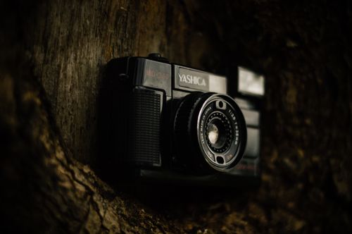 Free Captivating shot of a vintage Yashica camera against rough tree bark, exuding nostalgia and retro charm. Stock Photo