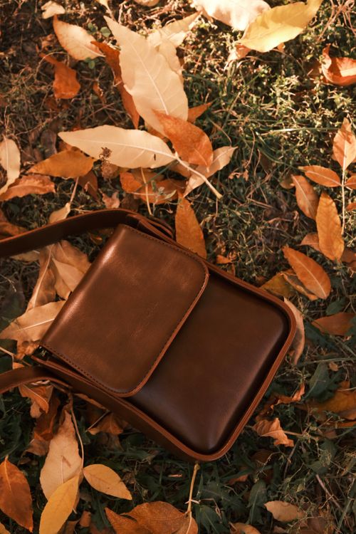 Free Elegant brown leather bag resting on autumn leaves under warm sunlight, close-up shot. Stock Photo