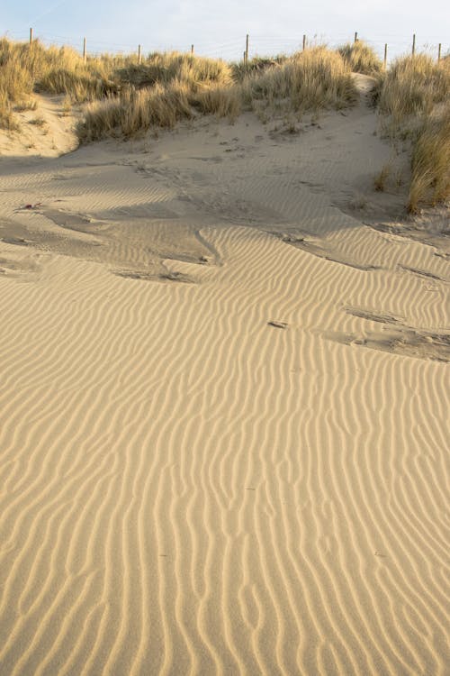 Photos gratuites de Belgique, dune, plage