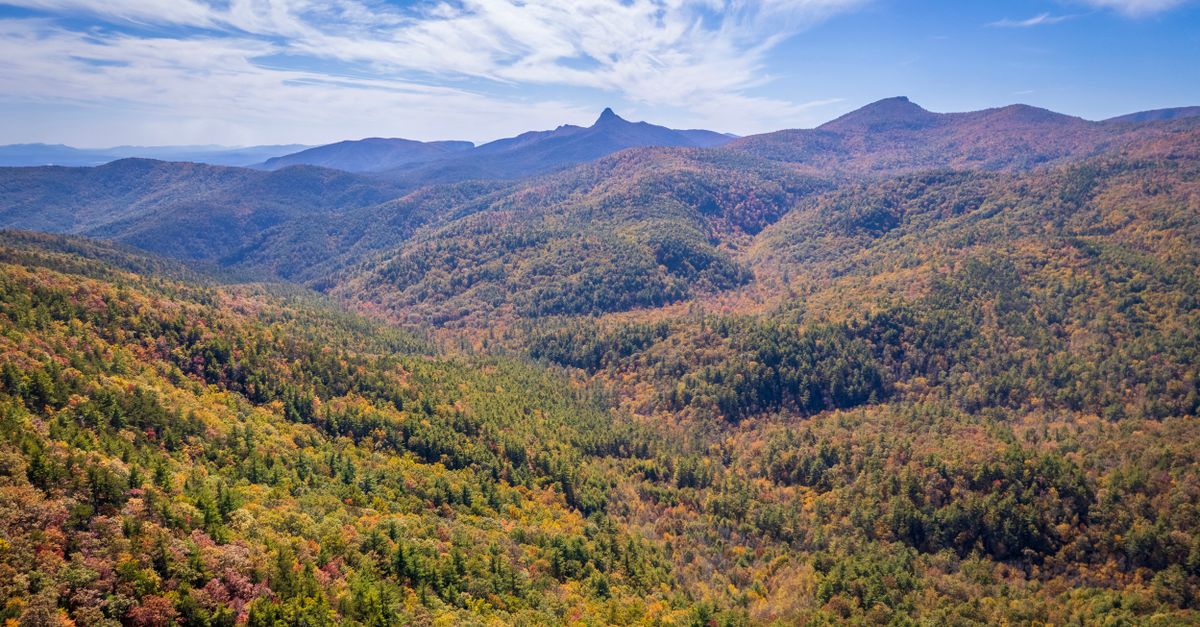 Breathtaking aerial view of autumn foliage in Newland, NC's mountains under a blue sky.