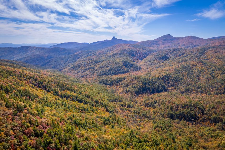 Black Mountain Trail (Pisgah)