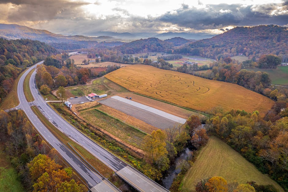 scenic, low-traffic road in the Blue Ridge Mountains area of North Carolina - where in north carolina is auto insurance the least expensive scenic, low-traffic road in the Blue Ridge Mountains area of North Carolina - where in north carolina is auto insurance the least expensive
