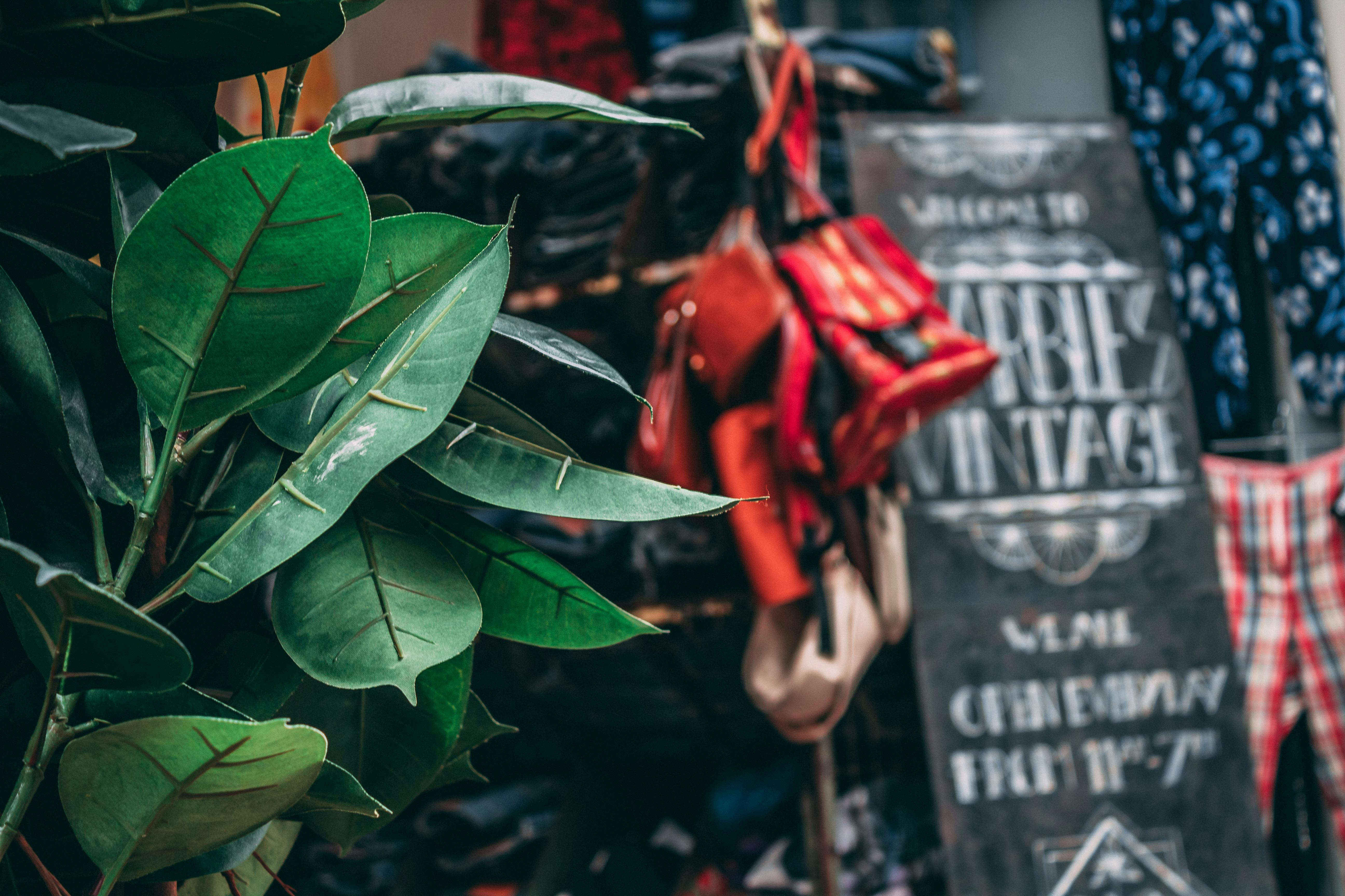Free stock photo of amsterdam, vintage, Vintage Shopping