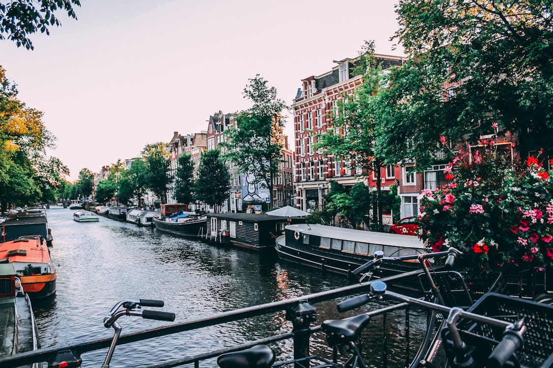 the best time to visit amsterdam