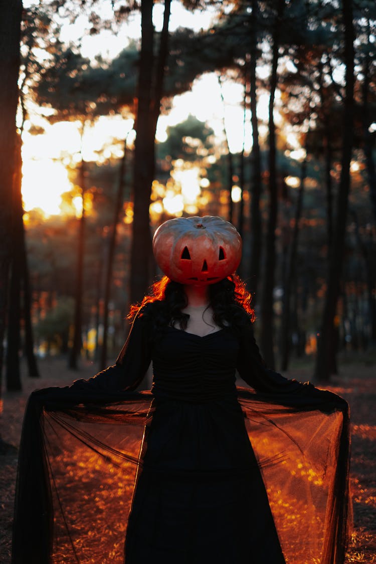 Woman In Costume For Halloween