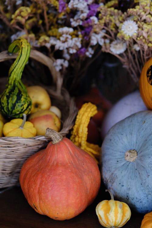 Fotobanka s bezplatnými fotkami na tému dekorácia, Halloween, jeseň