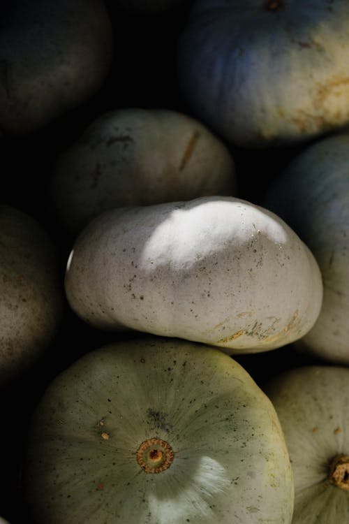 Close Up Photo of Gourds