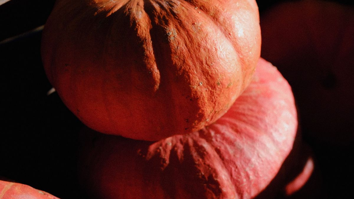 Calendrier des semis dautomne : légumes à récolter au printemps - illustration