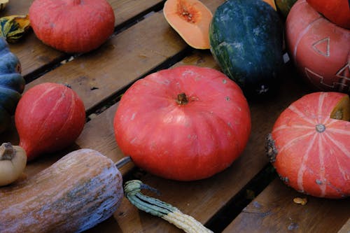 Fresh Harvest Gourd Vegetables