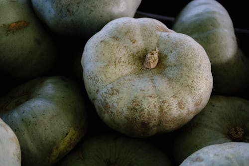 Fotos de stock gratuitas de aplastar, calabazas, comida sana