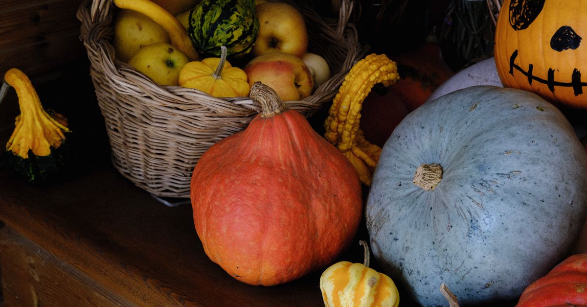 Les Fruits de Saison à Dévorer en Automne : Recettes et Bienfaits