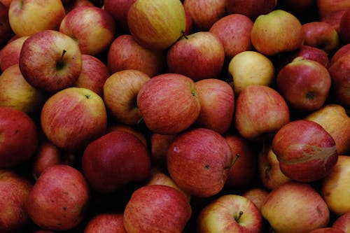 Close Up Photo of Apples