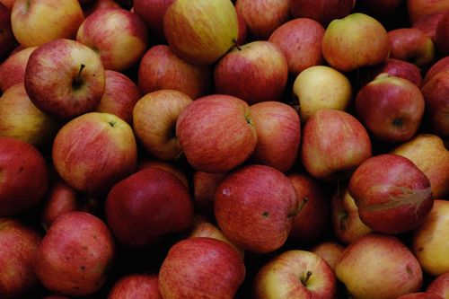 Free A vibrant collection of fresh red apples piled together, perfect for healthy eating themes. Stock Photo