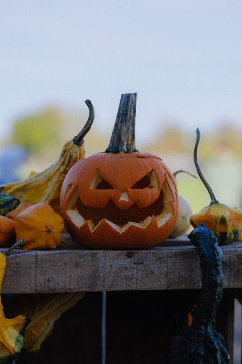 Carved Halloween Pumpkin 