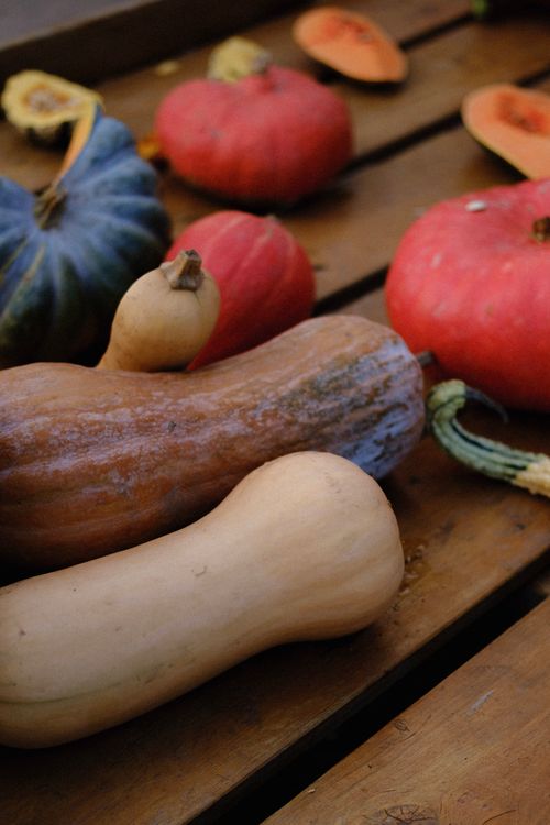 Free Vibrant display of various squash and gourds on a wooden table, perfect for autumn-themed content. Stock Photo
