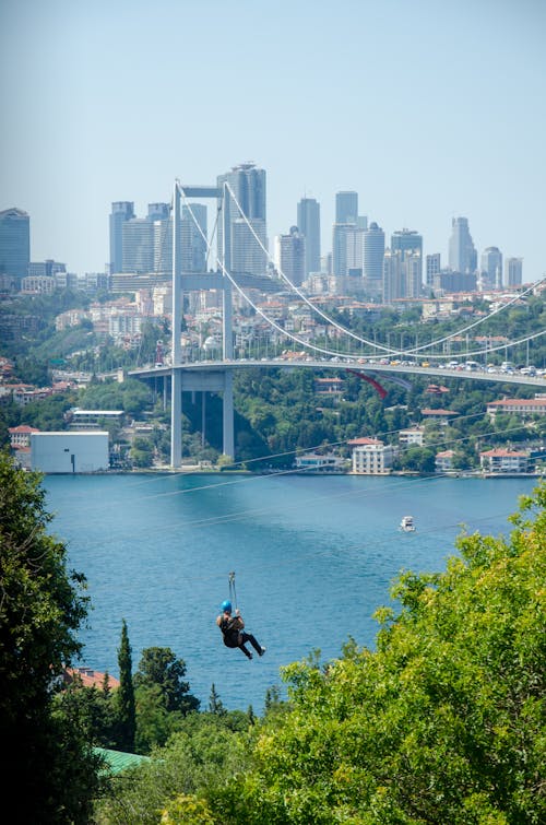 ağaçlar, dikey atış, gökdelen içeren Ücretsiz stok fotoğraf