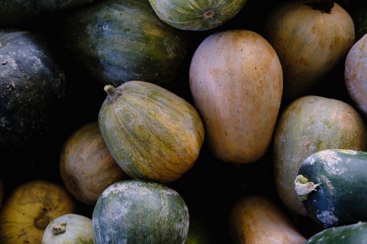 Vibrant close-up of fresh pumpkins and gourds highlighting autumn harvest abundance.