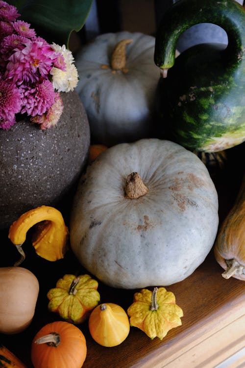 Fotos de stock gratuitas de caer, calabazas, calabazas ornamentales