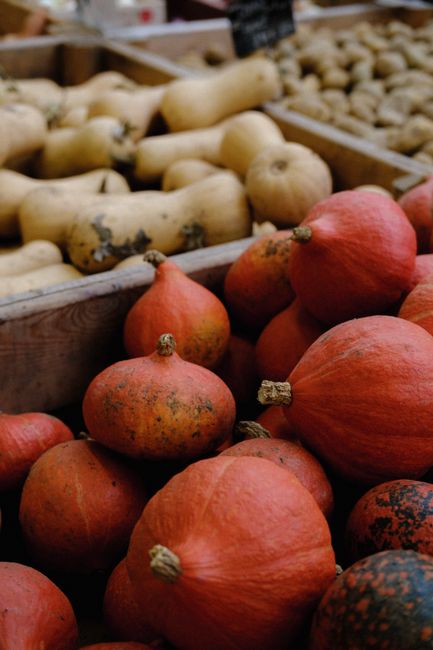 potimarron preparation