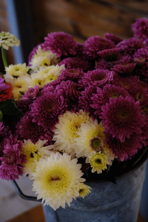 Fotos de stock gratuitas de arreglo floral, colores, crisantemos