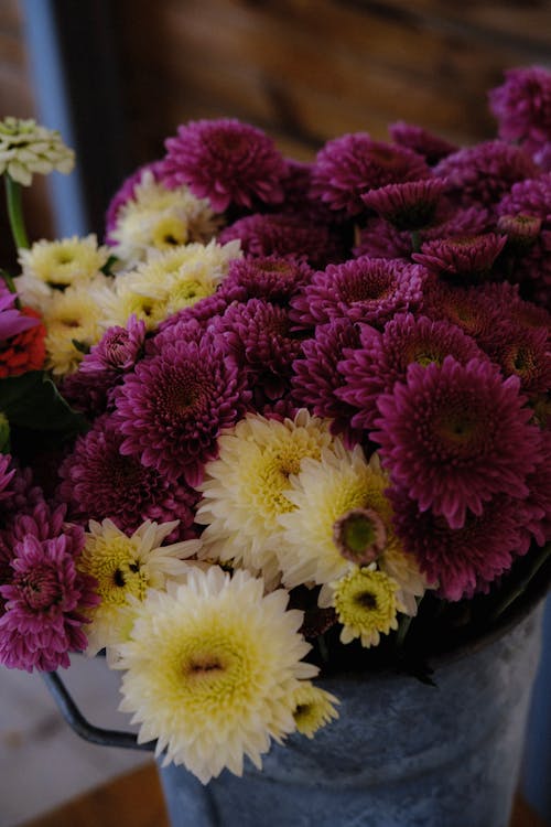 Bouquet of Chrysanthemums