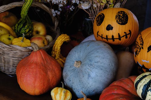 Fresh Harvest Gourd Pumpkin Vegetables