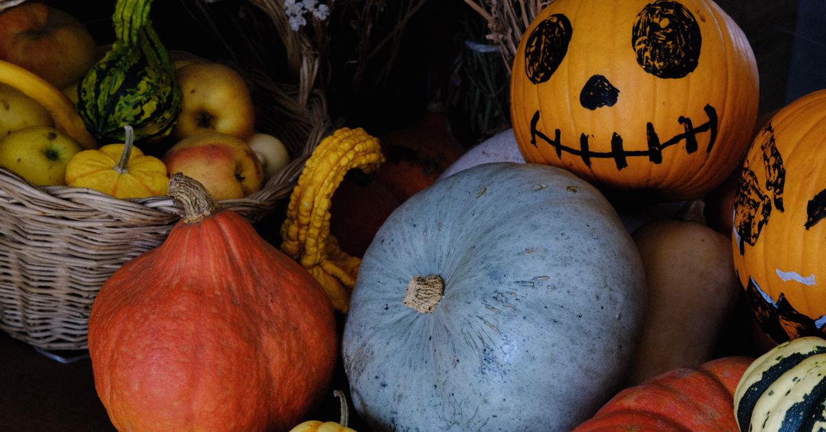 Le phénomène des citrouilles géantes : Pourquoi et comment ?